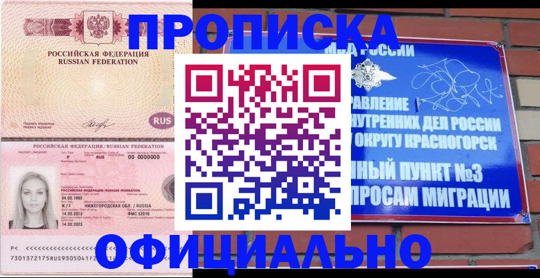 временная регистрация собственник в Нижегородской области